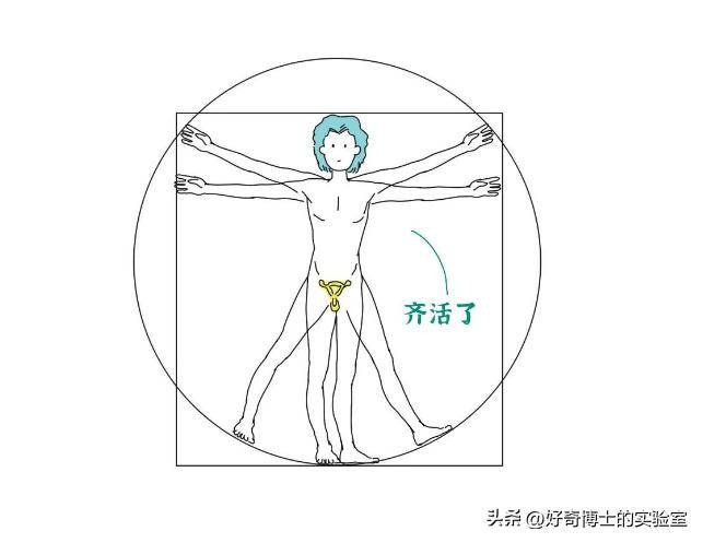 女人的小丁丁图片