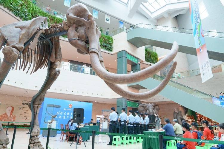 "法治 科普" 共护生物多样性,这家法院在博物馆里开庭审案