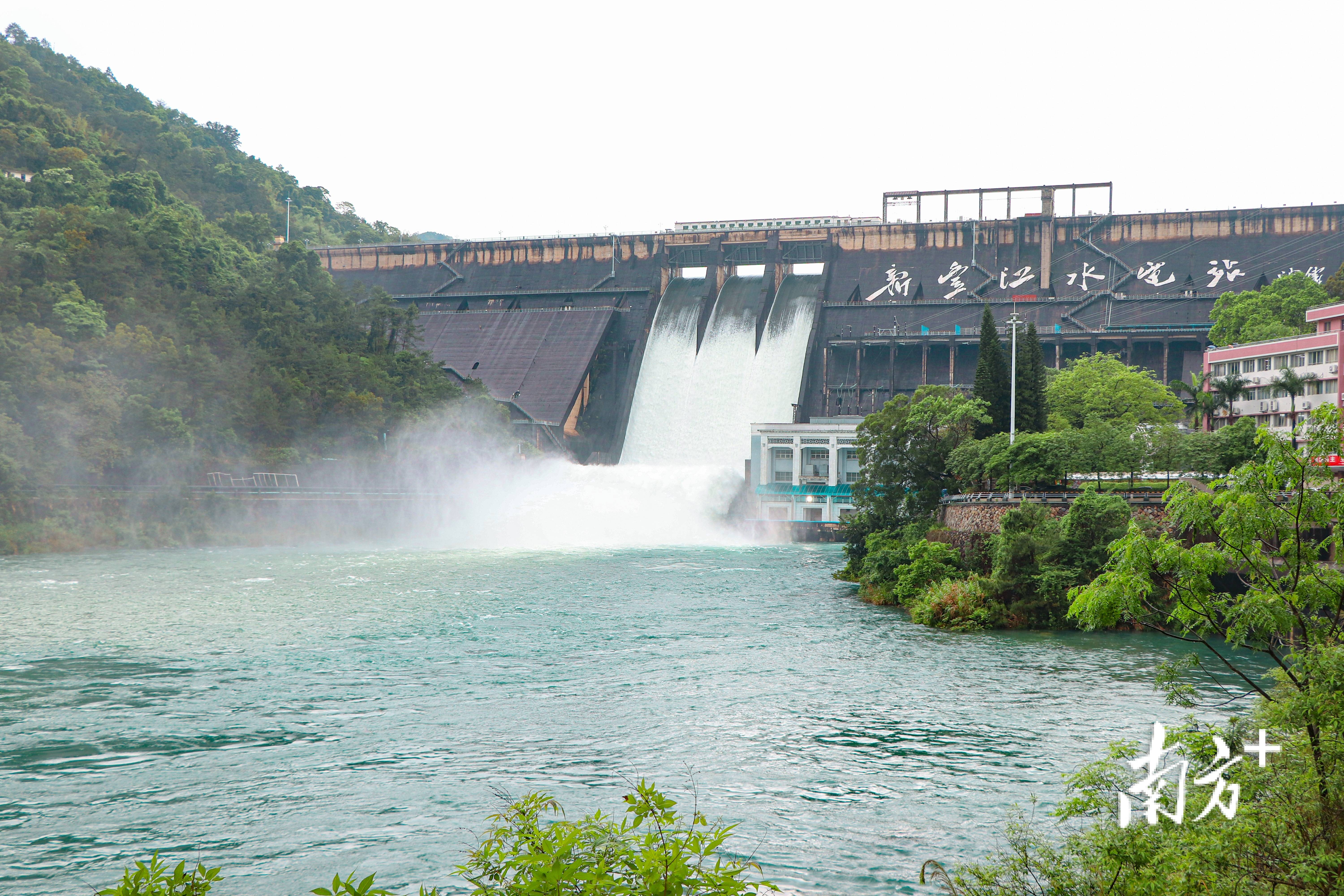 雀山岭水库图片