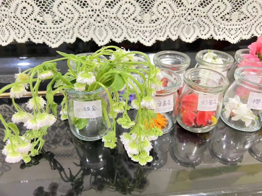 自然探寻图鉴——翻阅不一样的学习宝典_part_风铃_雨水