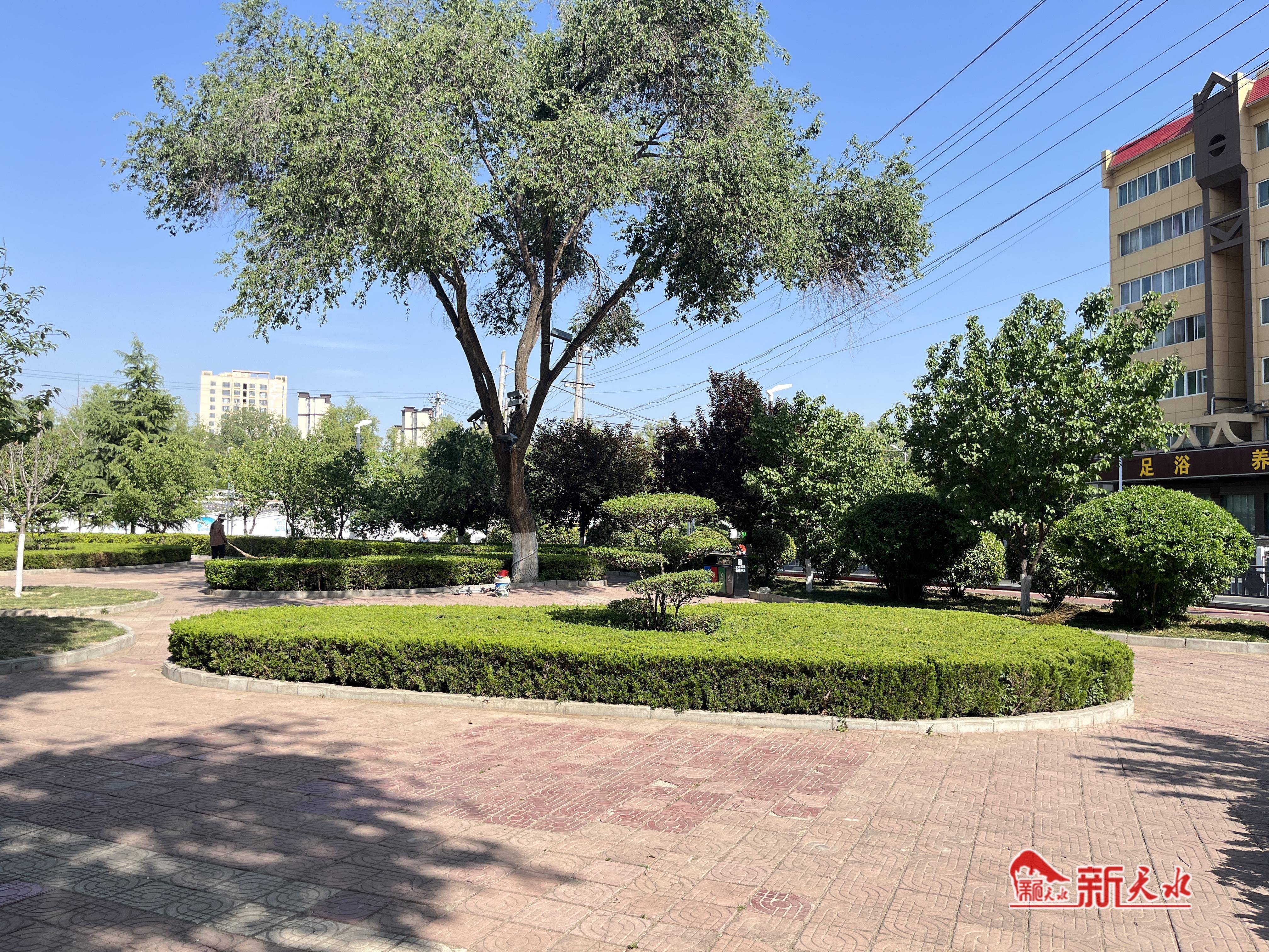 出门有景四季见绿 在天水感受"公园20分钟效应"