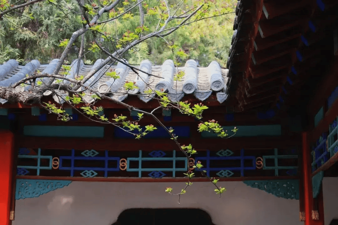 30首初夏诗词,落花生香,一枕梦长,遇见初夏好时光