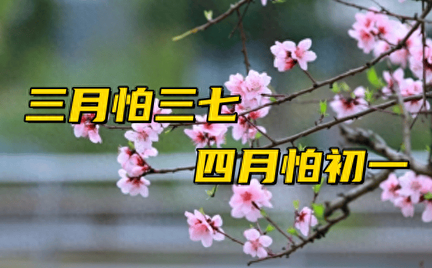 老话"三月怕三七,四月怕初一",明日四月初一,今年有啥预兆?