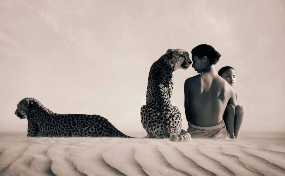 凭一张照片震撼了1000w人:为热爱而死,是一种恩赐_格雷戈里_大象_孩童