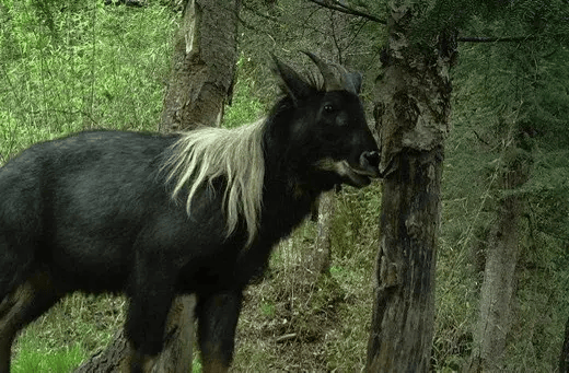 国际生物多样性日,一个高原小县城诠释了什么叫:生物的多样性!