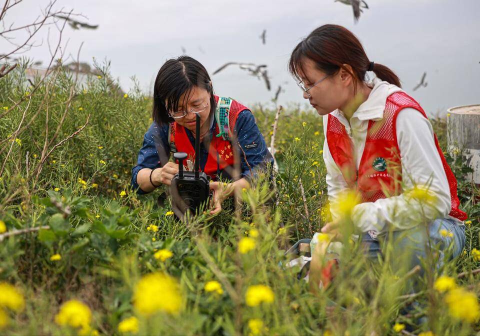 🌸【管家婆一码一肖100中奖】🌸-国际复材：航空航天为公司玻纤产品下游应用领域之一  第1张