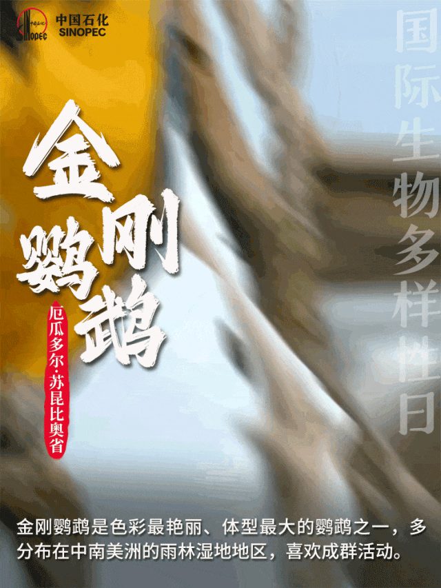 携手当地社区开展防治森林火灾,禁止猎杀动物和过度捕捞等环保行动