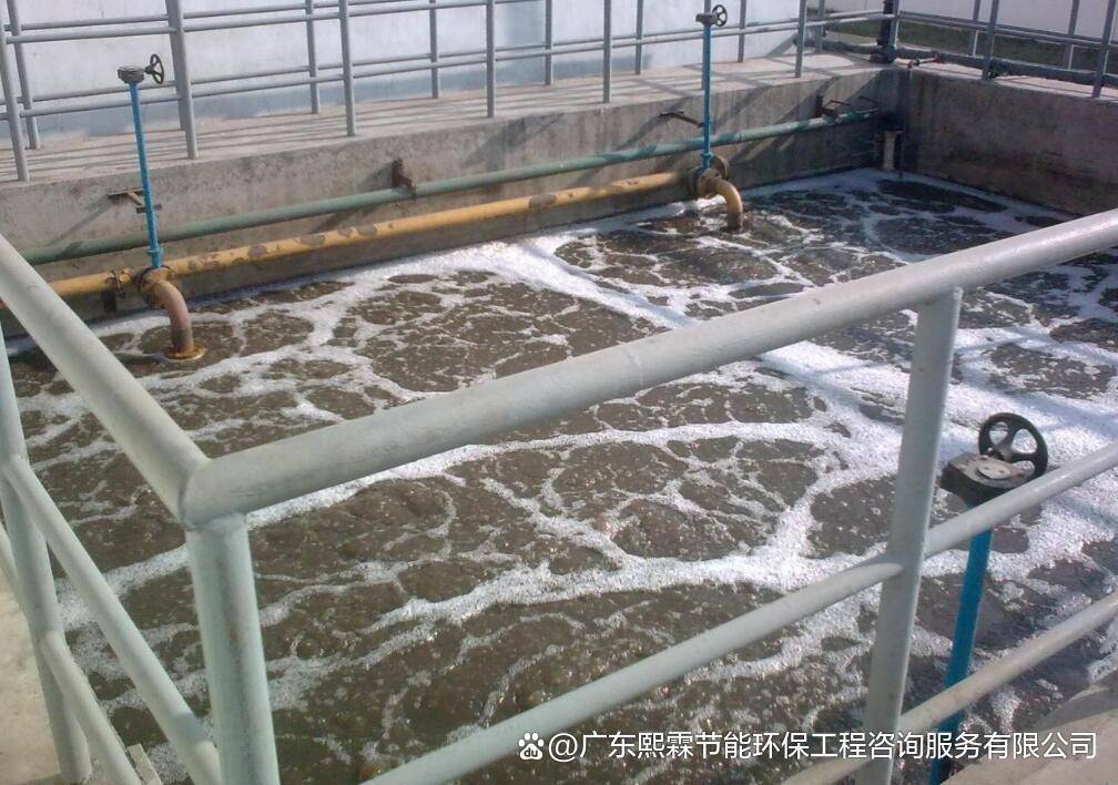 电池厂重金属污水处理方法