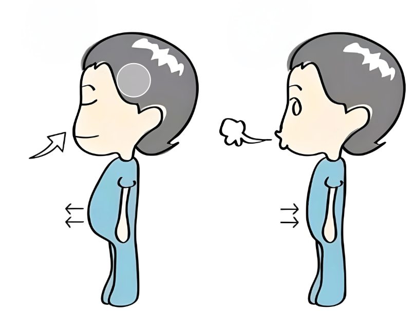 深呼吸时,先静下心来,或将双手上抬,深吸一口气,尽量让自己吸入更多的