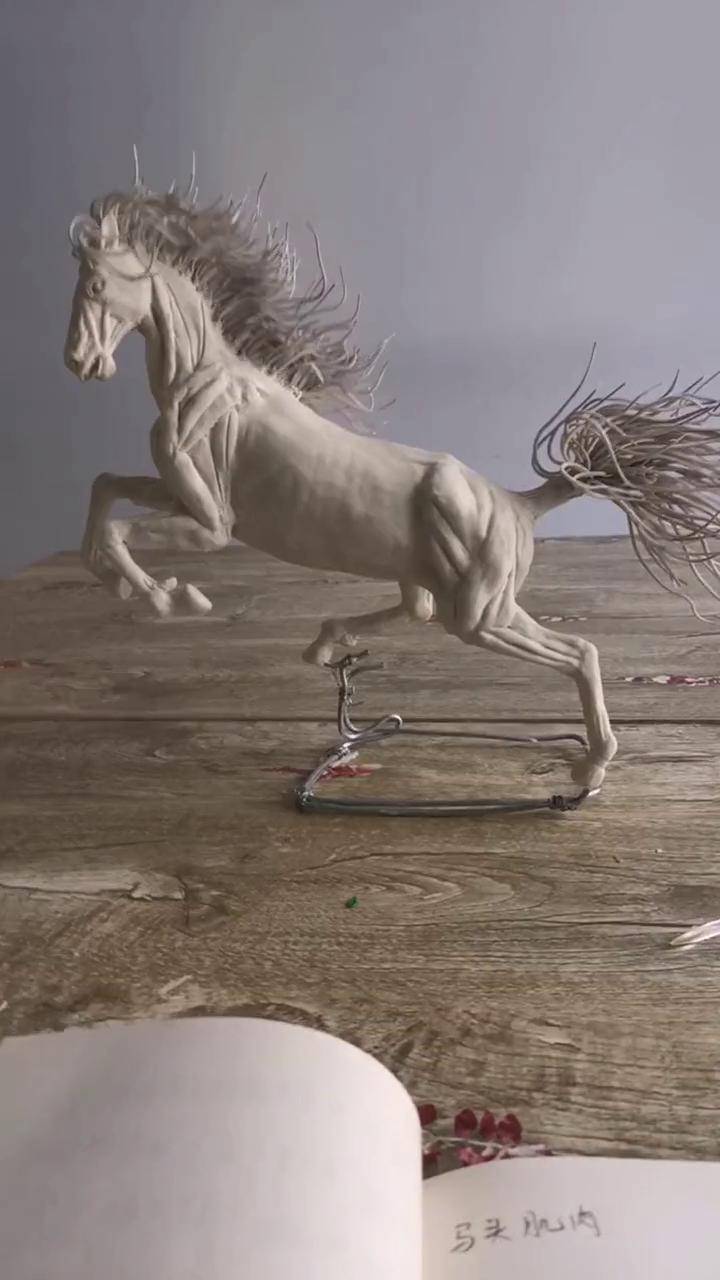 面塑教学马头肌肉结构