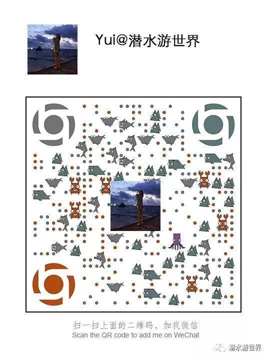 不想船宿又想看遍马代