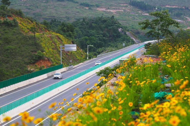 新田:美丽公路花开路畅景如画(组图)