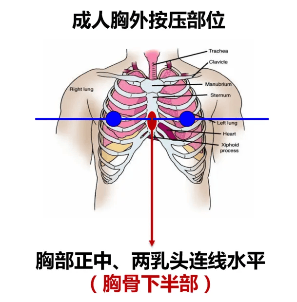 卫您守护,救在身边 