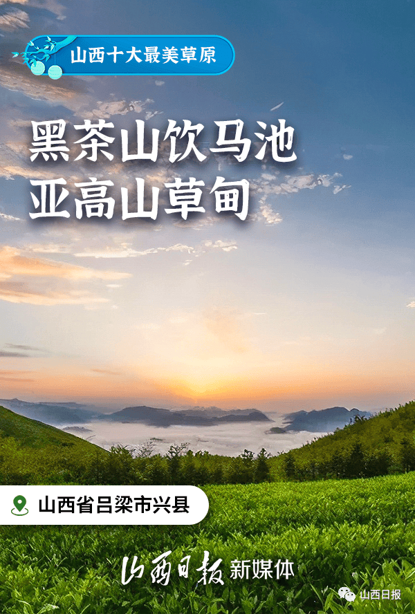 不用去新疆,山西人也有自己的"阿勒泰"!