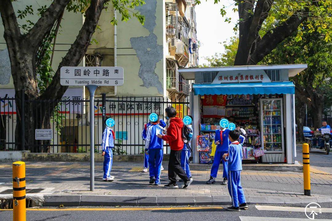 他们大多在园岭小学,园岭外国语小学,园岭实验小学,红岭中学上学.