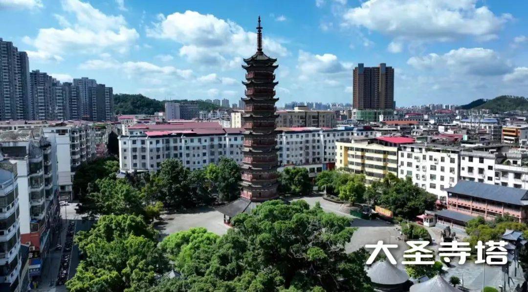 美翻了!用"莫奈花园"的方式打开这个城市!