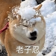 微信热门斗图表情包:去你的舔狗!