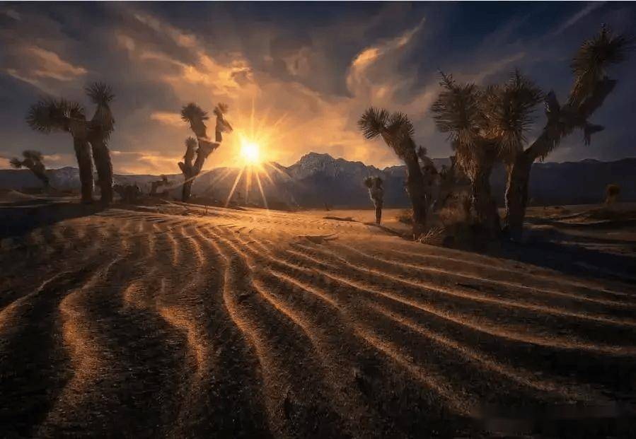 这些场景怎么拍?拍好了就是大神级作品!【参数总结】