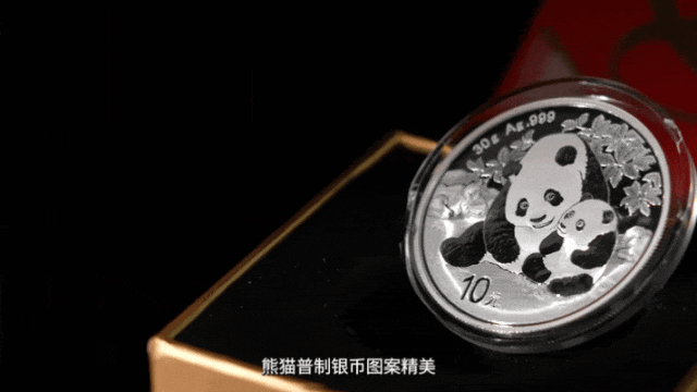 黄金大涨后白银也被买断货 熊猫银币成香饽饽