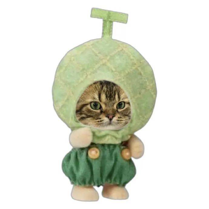 头像 l 简约高级感wechat头像