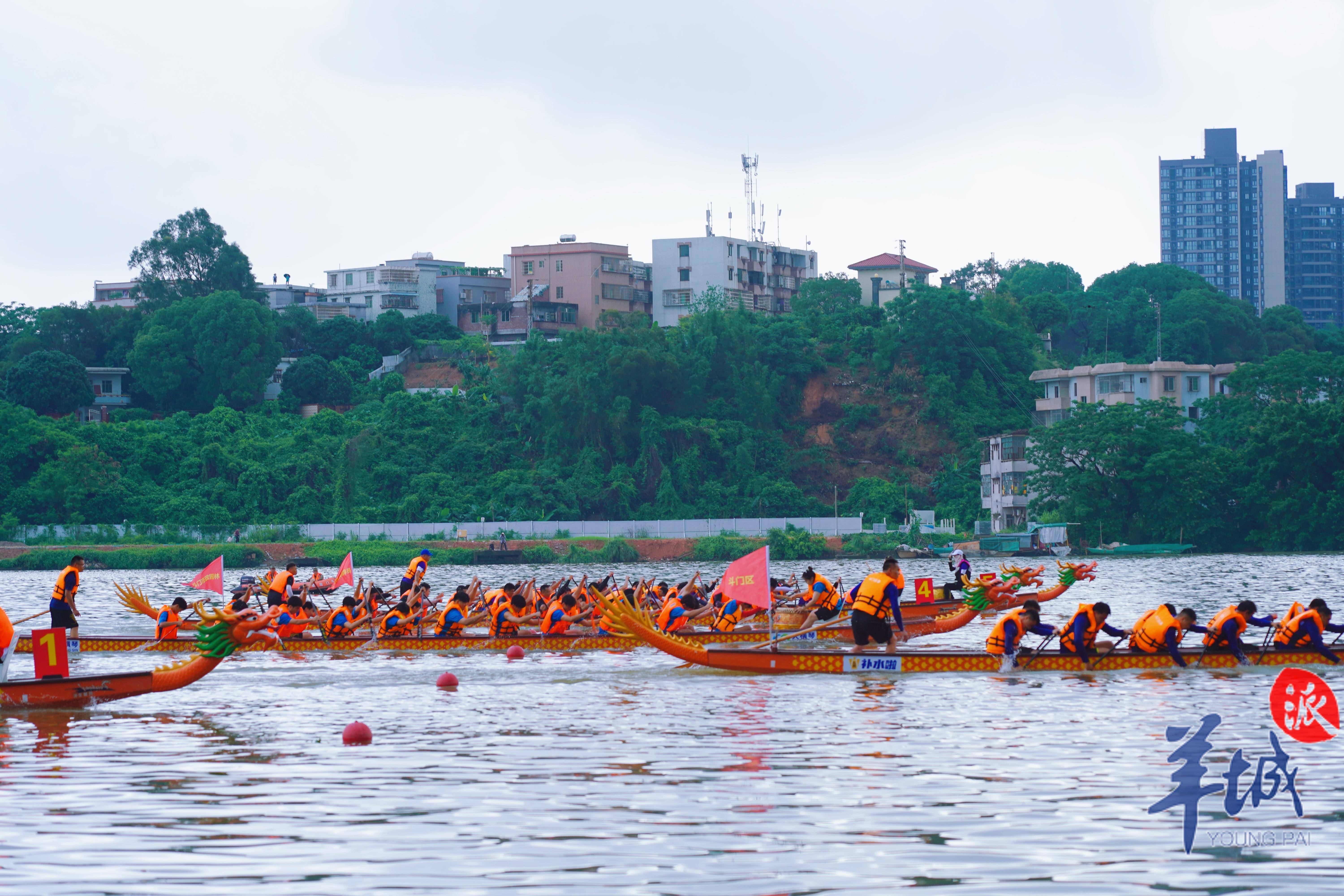 【图集】群龙夺锦!2024年广东省龙舟公开赛冠军诞生!_湾区_斗门_珠海