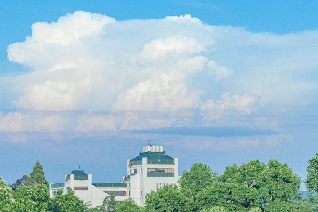 武汉大学发布2024本科招生章程_计划_工作_考生