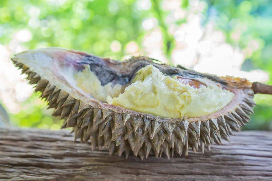 原来挑榴莲不是越大越好?_the_durian_as