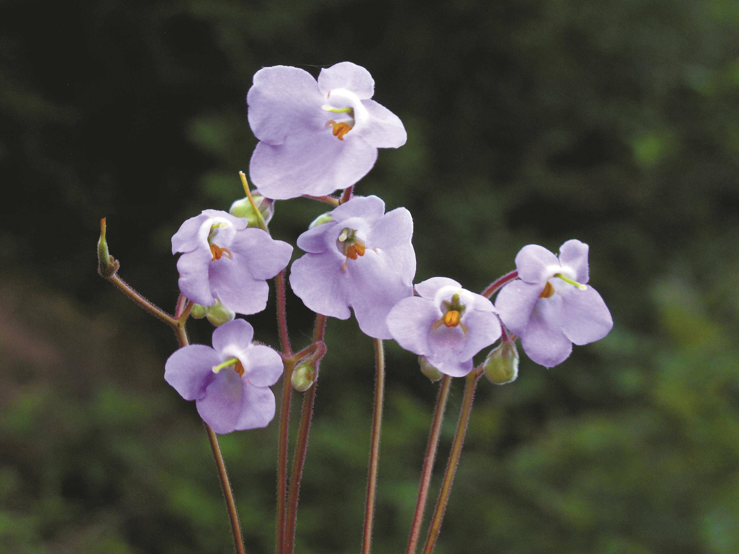 闷热感"退,退,退" 这周宁波将以多云天气为主