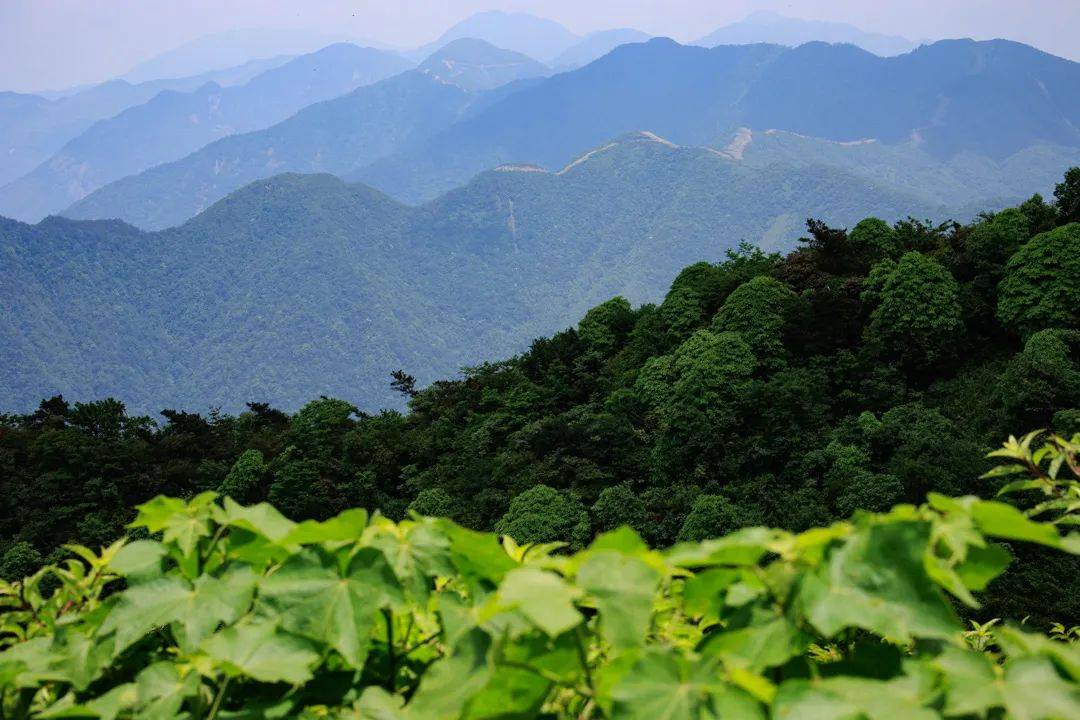 浏阳石柱峰清凉徒步一日游