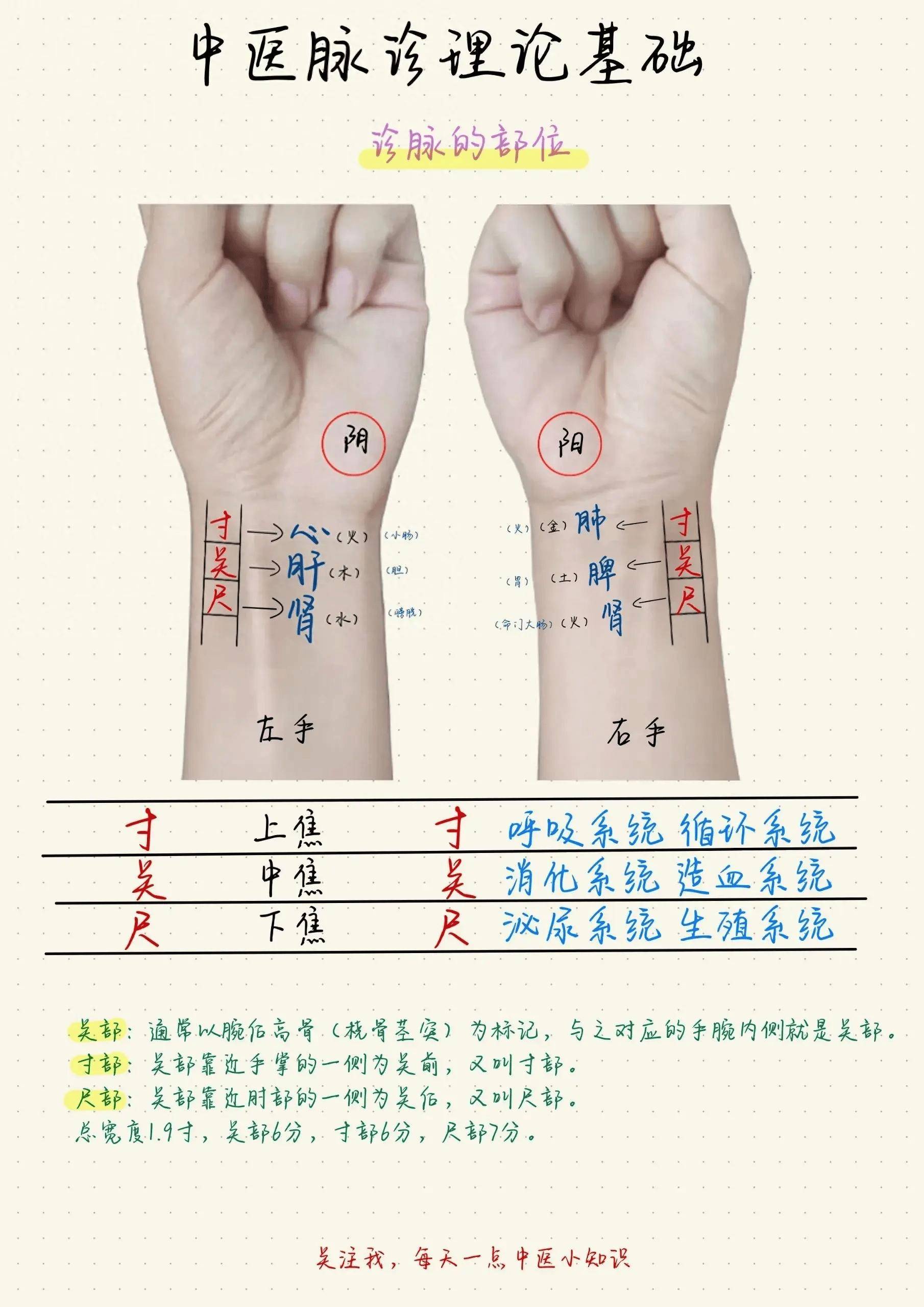 诊脉力度有讲究,中医教你浮中沉重四法!