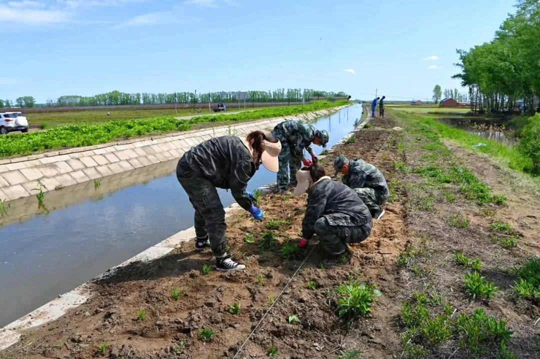 江川农场开展"绿美江川"建设暨"党员110"义务劳动