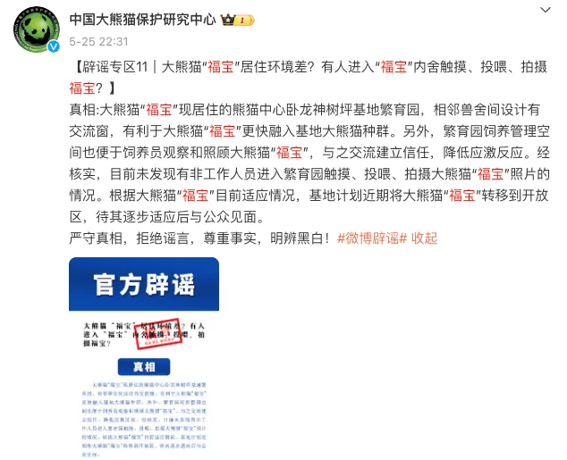 韩国媒体称"福宝"在中国受虐待,央视下场辟谣!