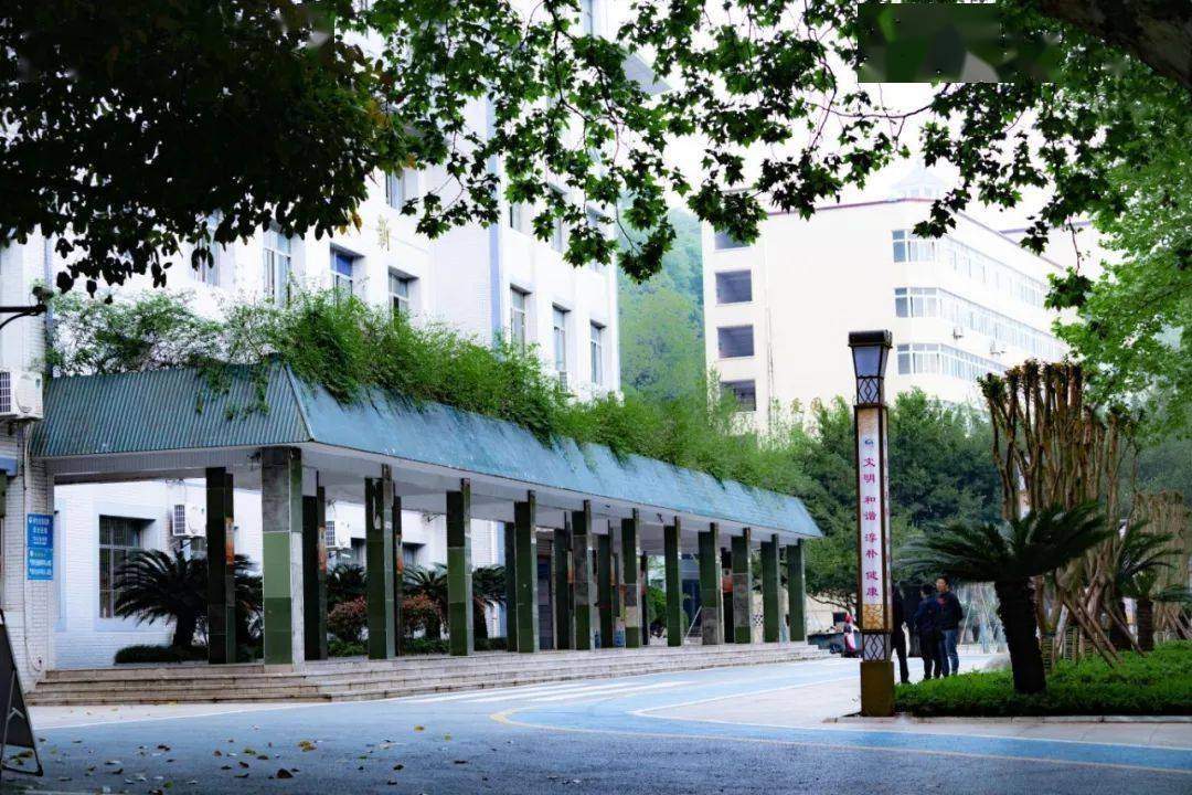 【现场】全市人大教科文卫委在南部县调研