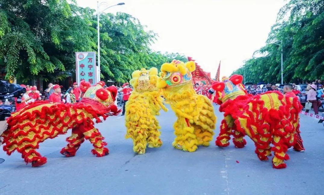 探寻万宁非遗 | 舞狮少年,为万宁狮舞传承注入青春朝气!_舞狮队_狮子舞_坝头村