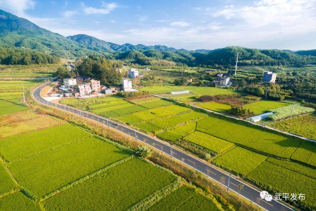 武平这事,火上央视!