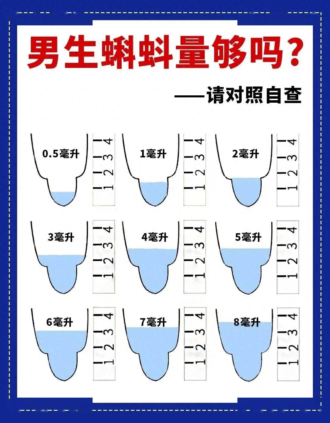 男生体内的小蝌蚪图片