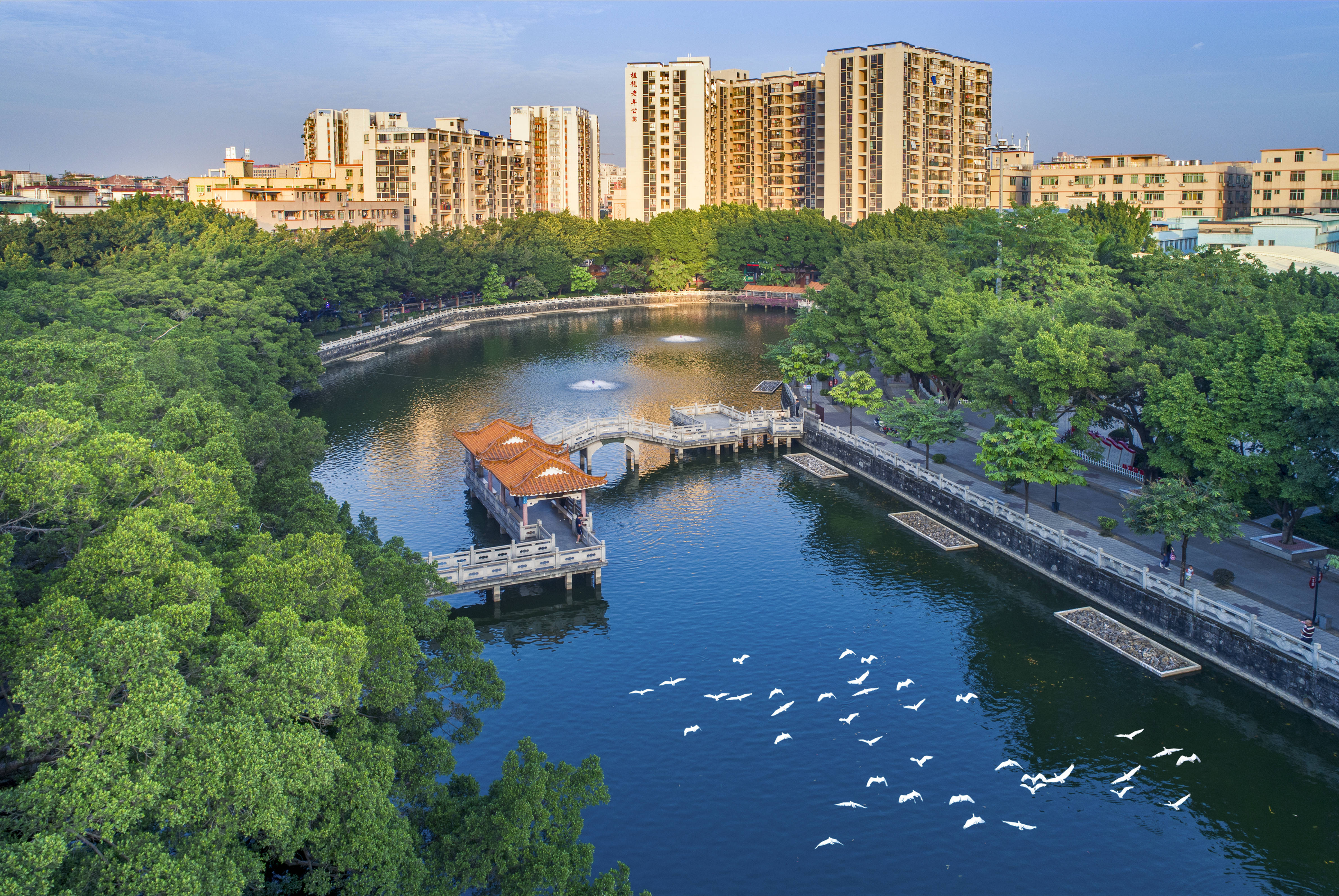 板桥河公园图片