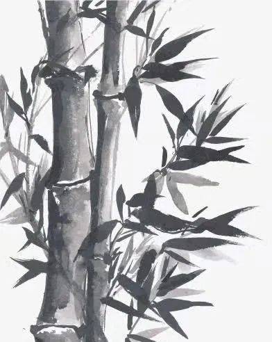 清雅胜君子,虚怀玉节珍.如梦令一夜潇潇雨纵,花落道春珍重.