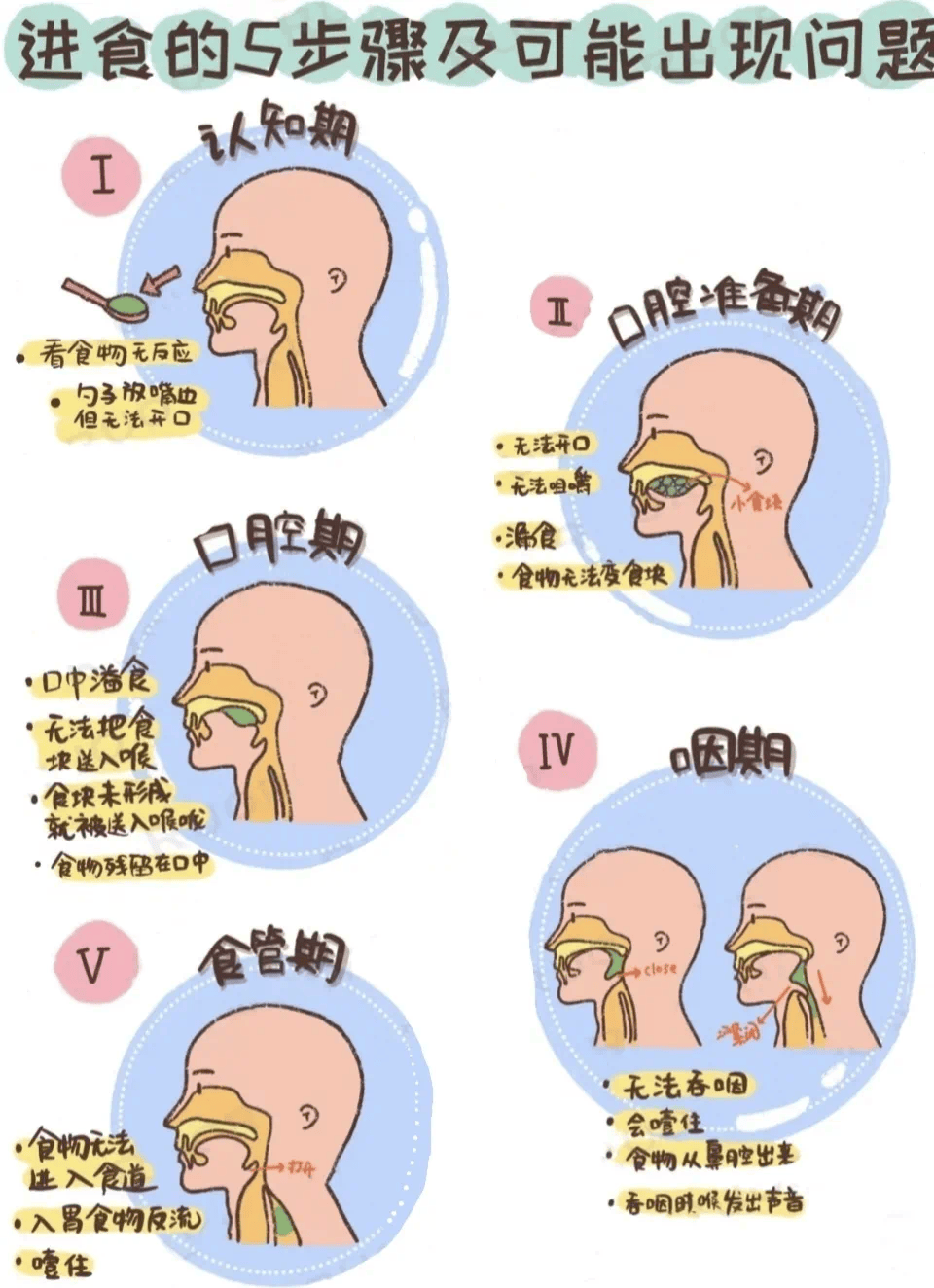金小鸥讲健康