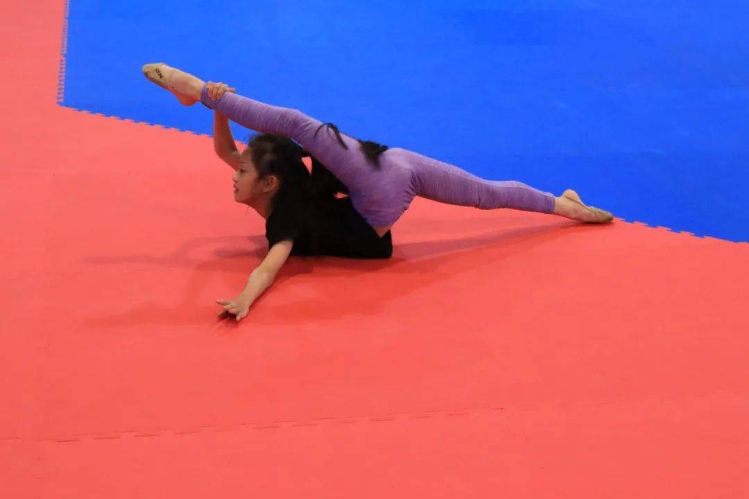 活动回顾 | 体育人生分享会——俄罗斯艺术体操冠军的成长之路举办