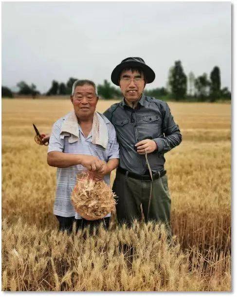 技术主要有固化稳定化技术,土壤洗脱技术,北票市天翊沸石矿业有限公司