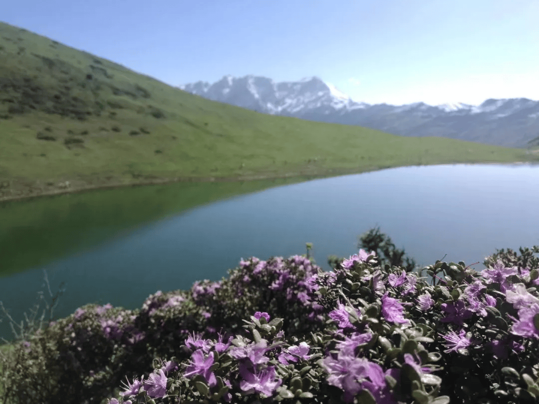 9 沐浴花海,漫步云端,茂县九顶山徒步露营两日游