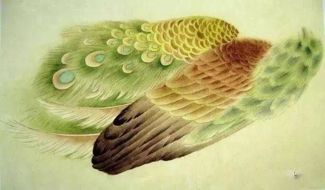 工笔开屏孔雀画法_羽毛_头部_着色