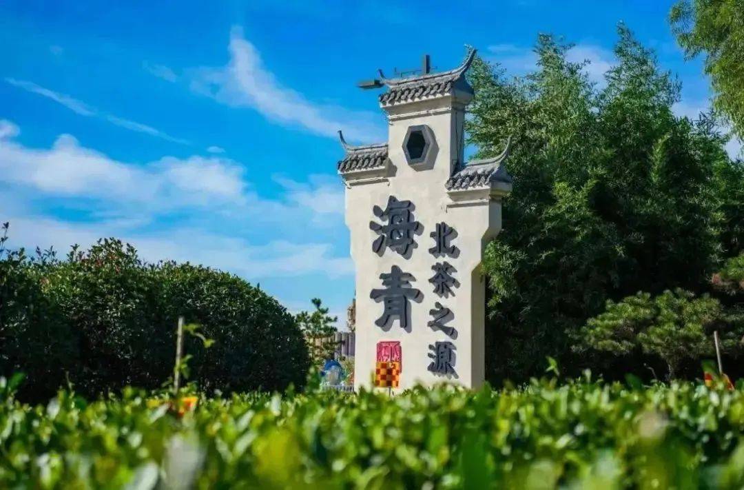 海青镇入选!
