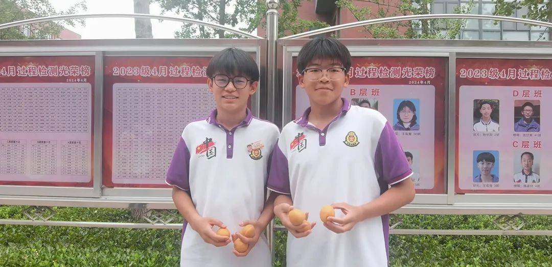 【人文四中61"杏"福校园】潍坊四中举行杏林采摘活动