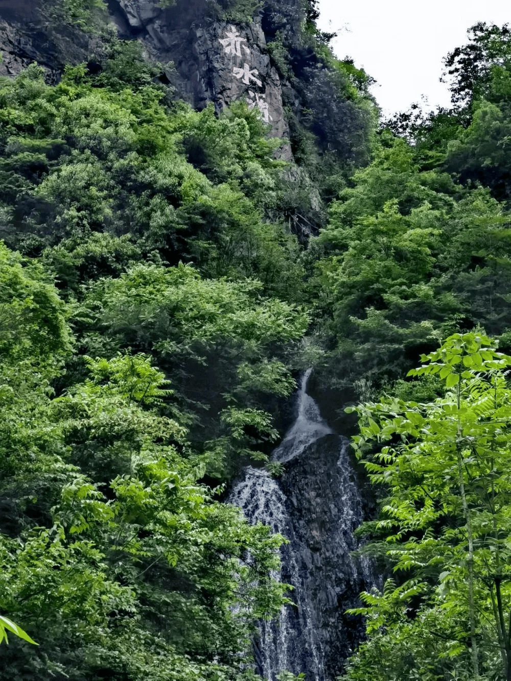 【新华社】关注云南镇雄打出河流生态治理"组合拳"保护鱼类多样性