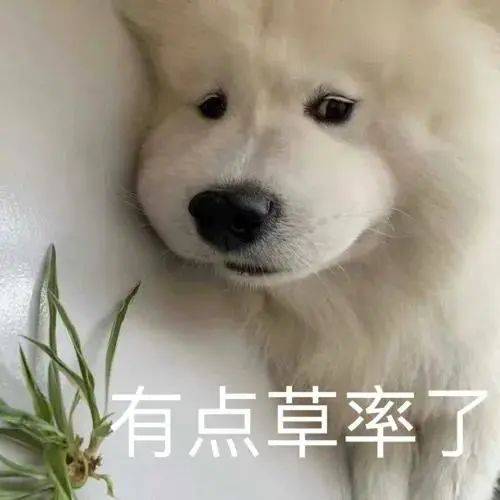 超沙雕搞笑的表情包