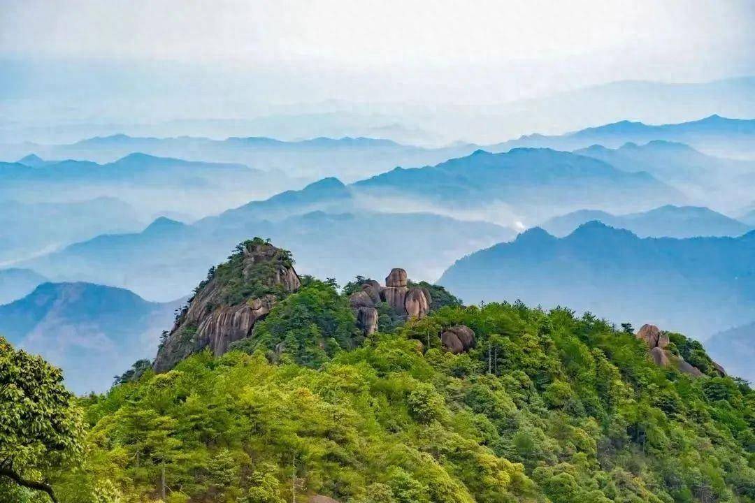 初夏的好戏在大茅山上演,想邀你一起