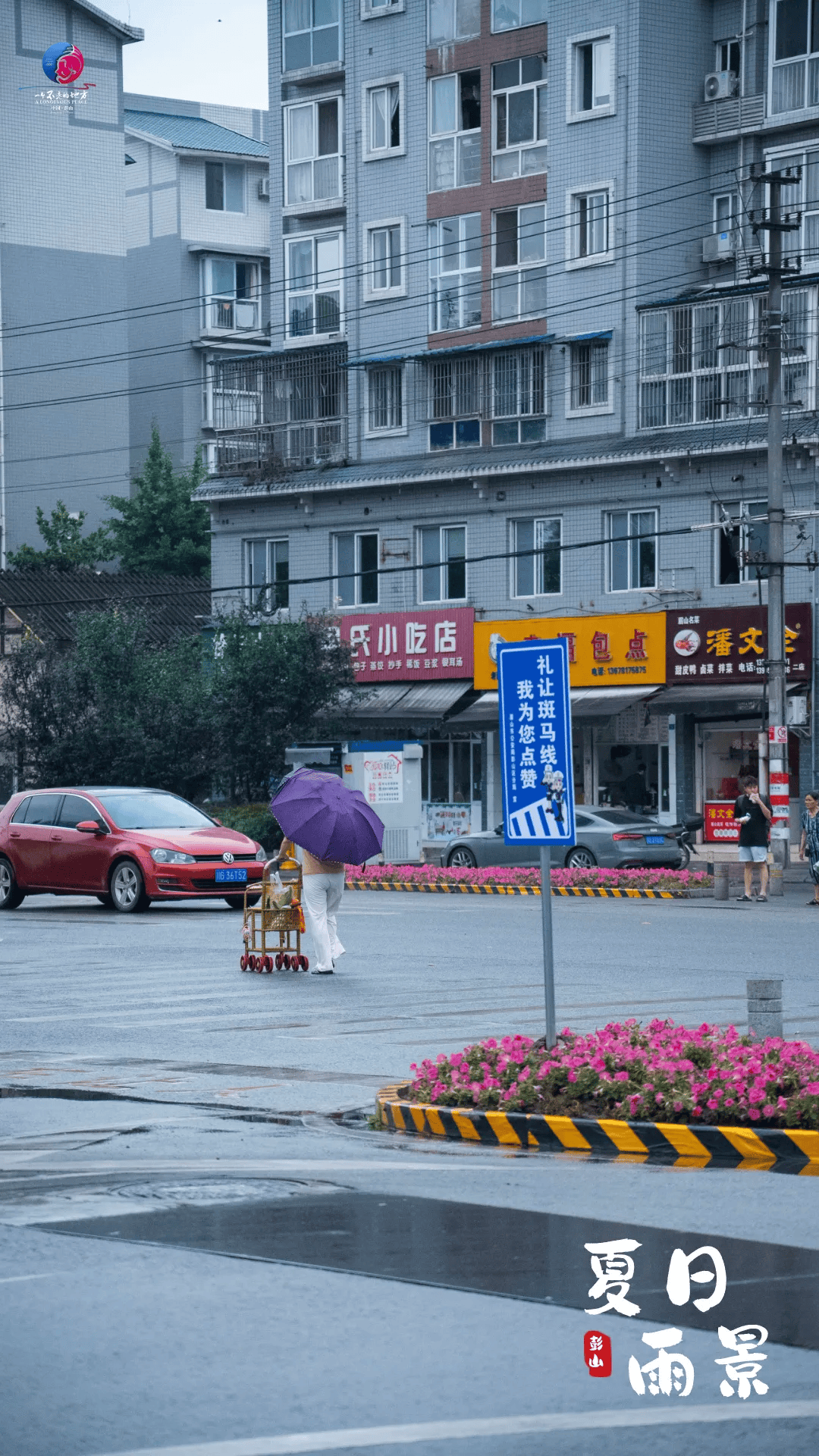 街头万物焕发新的生机每一个雨后雨天和晴天都值得期待彭山的夏天阑珊