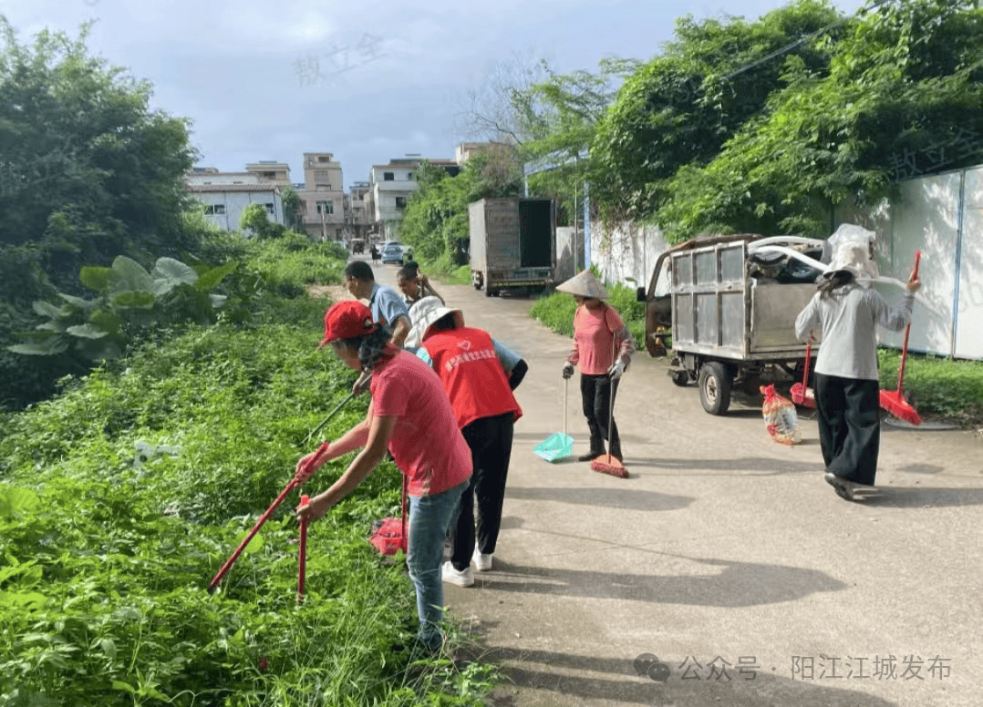 迅速落实全区农村人居环境整治推进会精神!